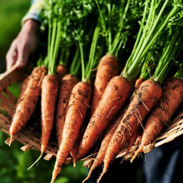 (株) はじまり屋