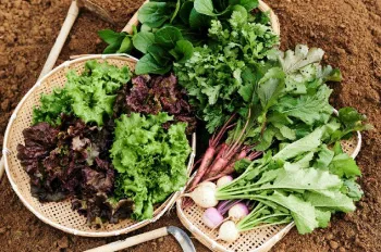 (株) はじまり屋紹介