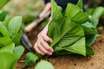 (株) はじまり屋紹介