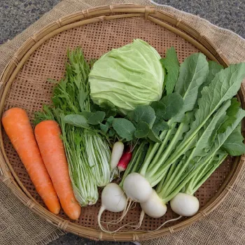 (有) 類農園紹介