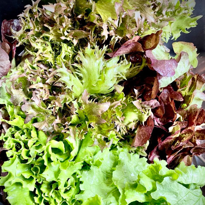 堀江カフェモード